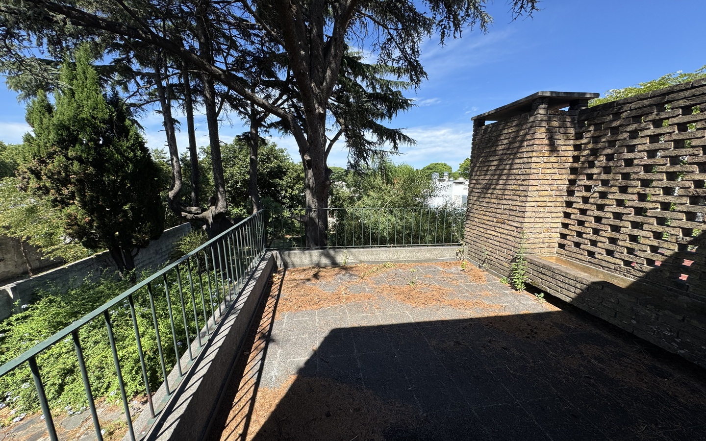 Brazo Oriental, terraza