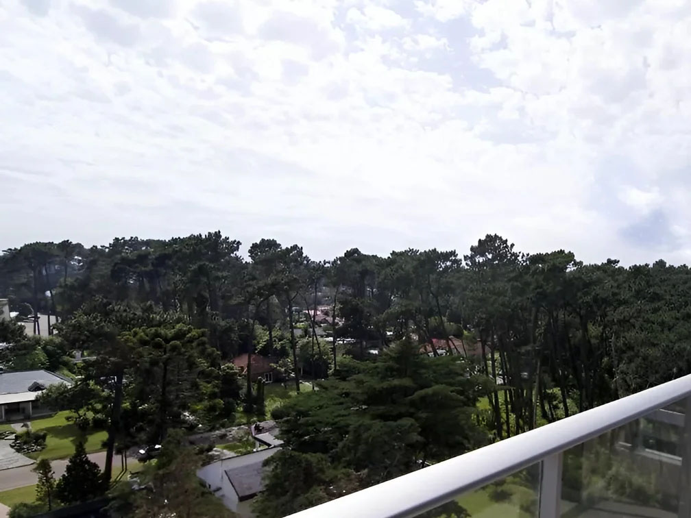 Barrio Cantegril
