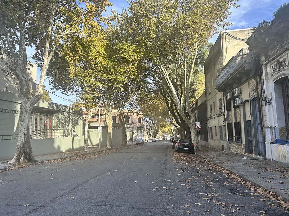 Barrio Sur